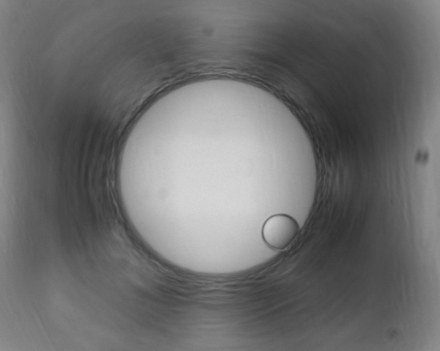 X0000112510700200908171048