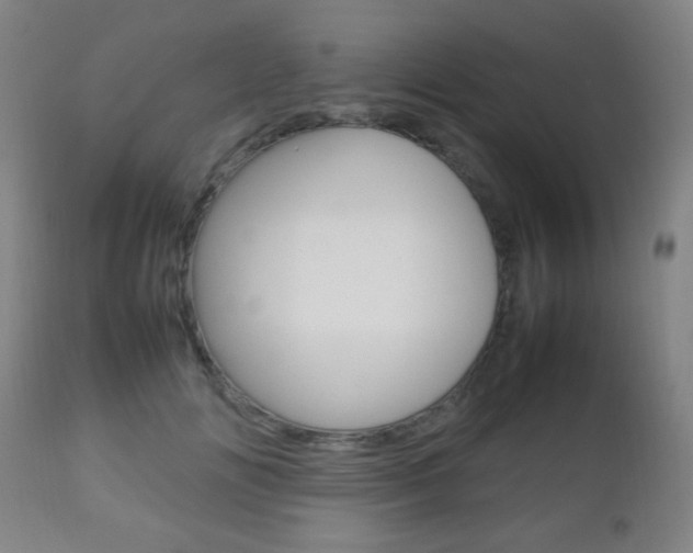 X0000112510702200908171048