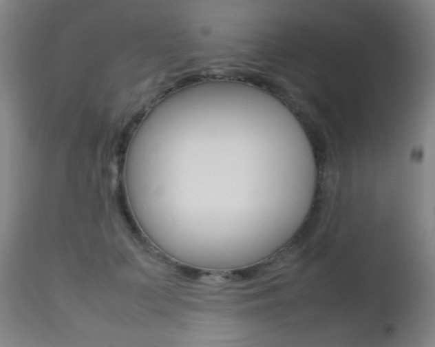 X0000112510703200908171048
