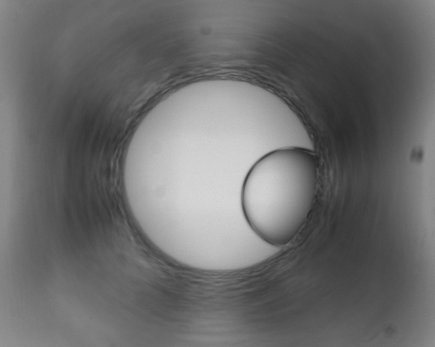 X0000112510704200908171048