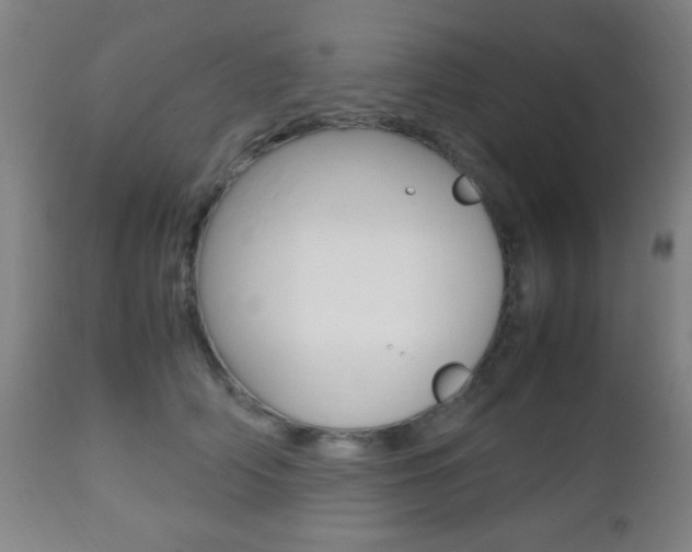 X0000112510706200908171048