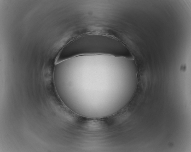 X0000112510708200908171048