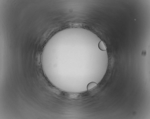 X0000112510709200908171048