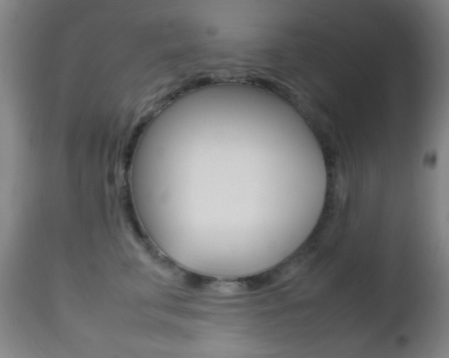 X0000112510711200908171048