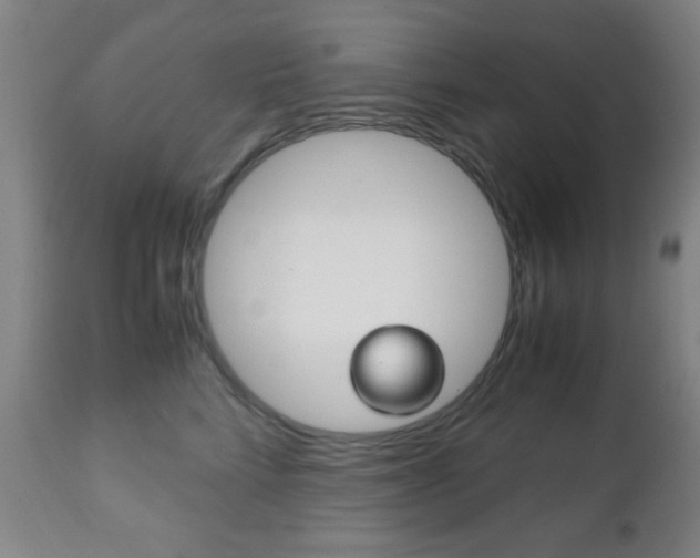 X0000112510712200908171048