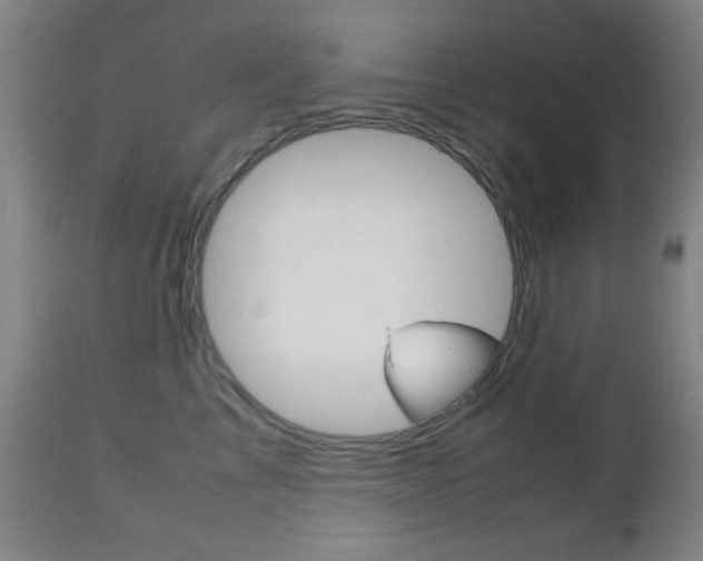 X0000112510713200908171048