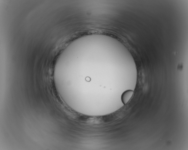 X0000112510714200908171048
