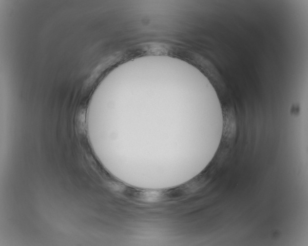 X0000112510717200908171048