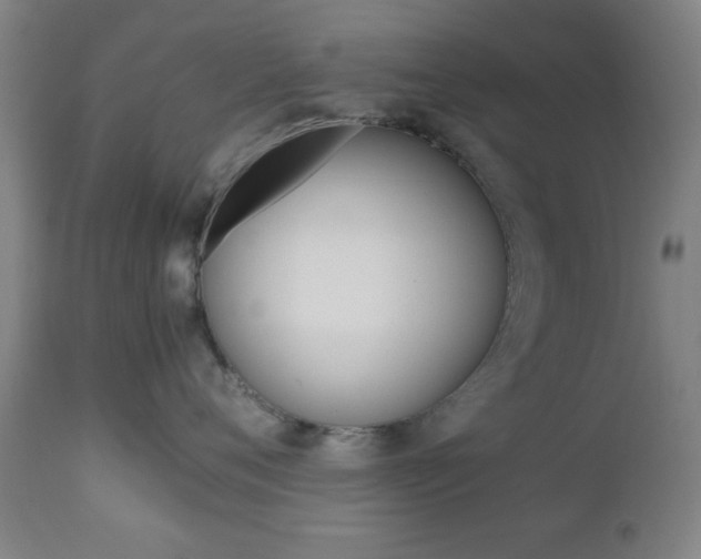 X0000112510720200908171048