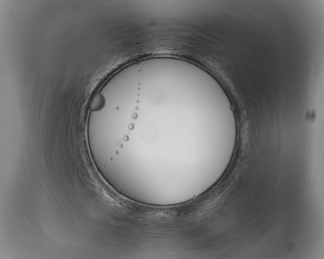 X0000112510721200908171047