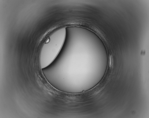 X0000112510723200908171047