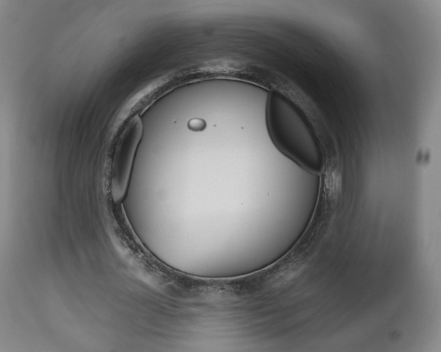 X0000112510724200908171047