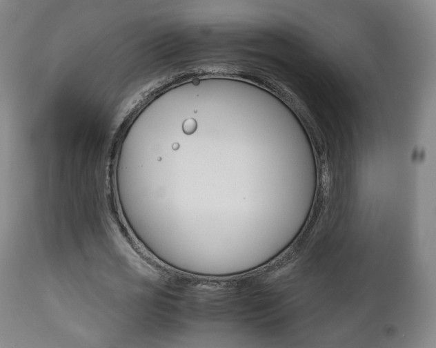 X0000112510725200908171047