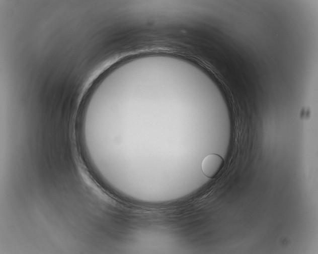 X0000112510726200908171047