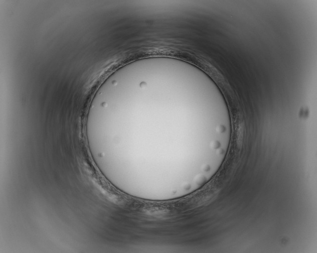X0000112510729200908171047