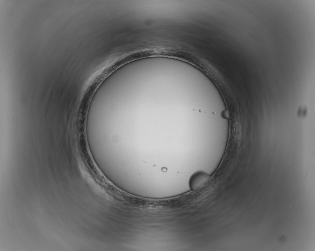 X0000112510730200908171047