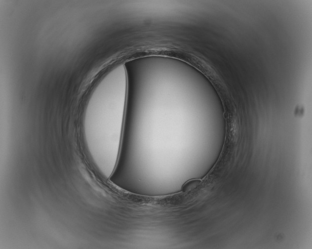 X0000112510732200908171047