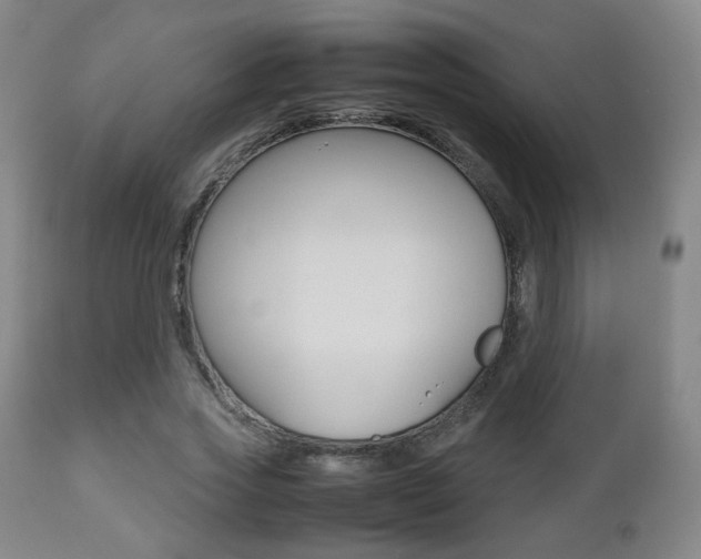 X0000112510733200908171047