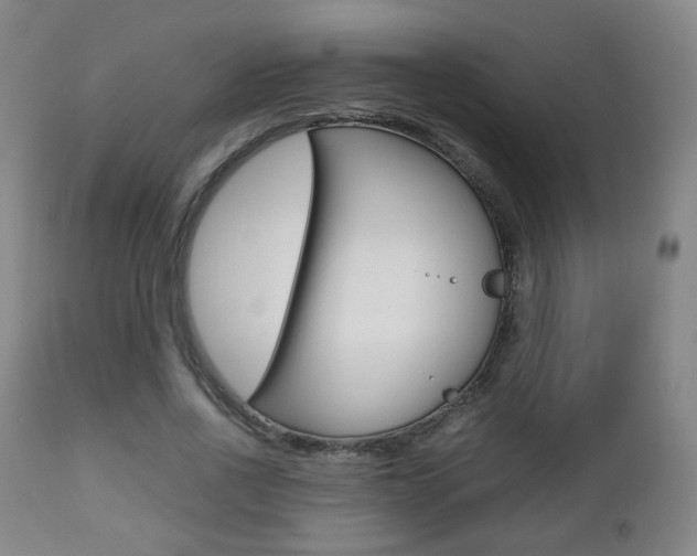 X0000112510734200908171047