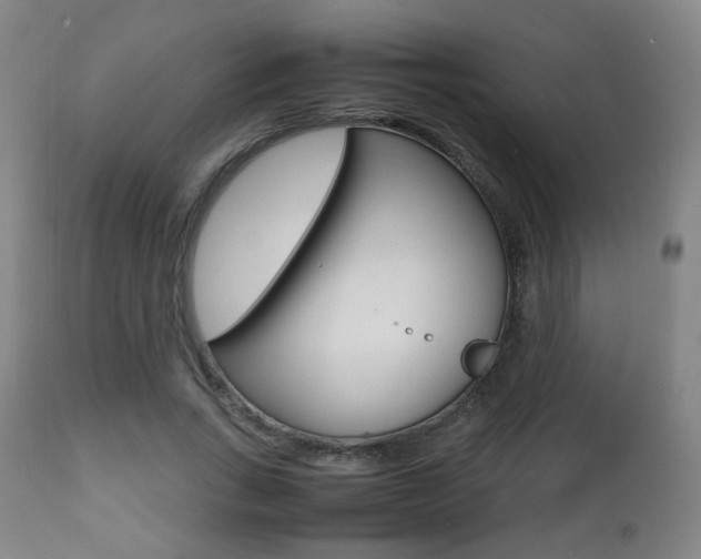 X0000112510735200908171047