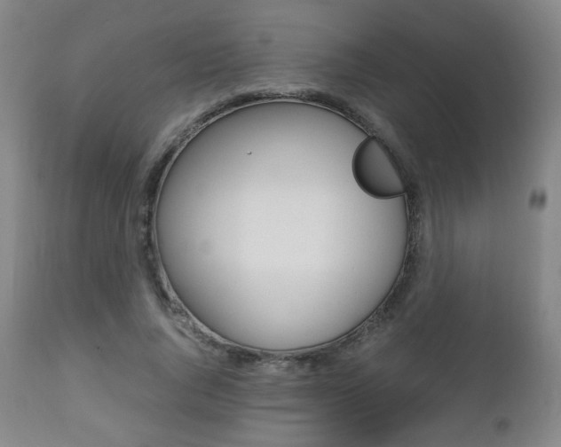 X0000112510736200908171047