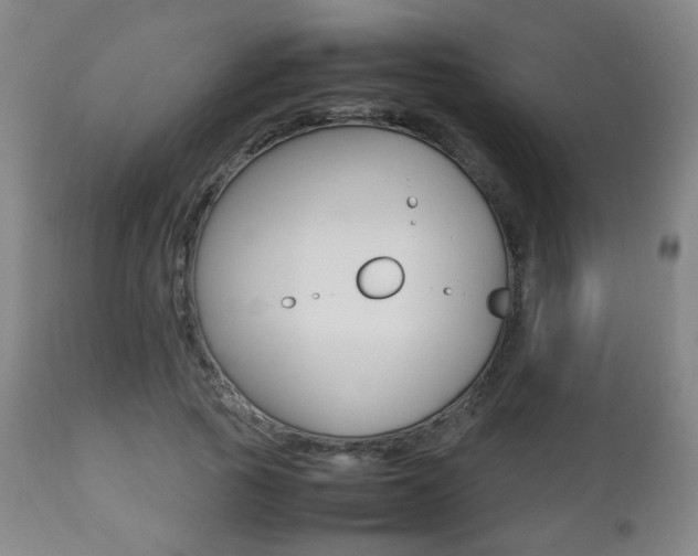 X0000112510737200908171047
