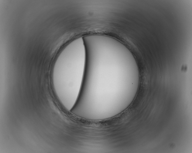 X0000112510738200908171047