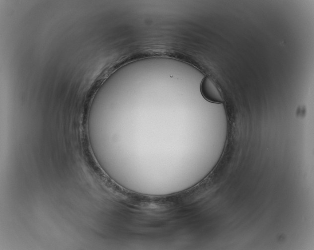 X0000112510739200908171047