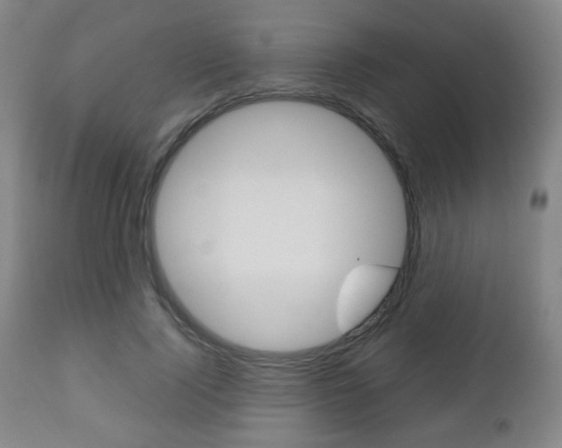 X0000112510740200908171047
