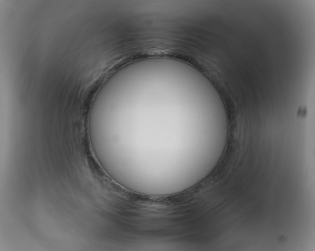X0000112510743200908171047