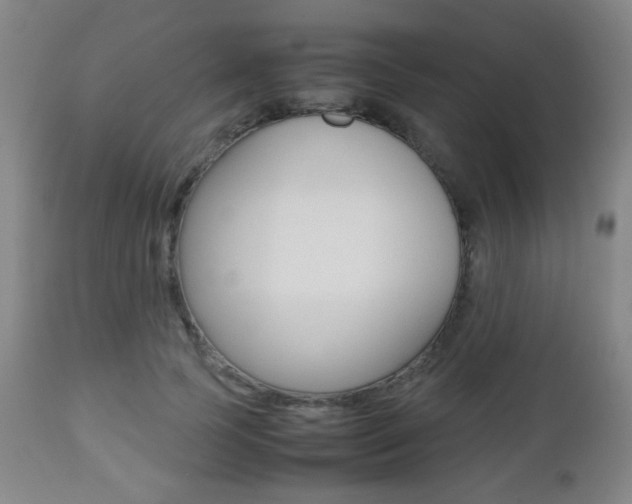 X0000112510745200908171048