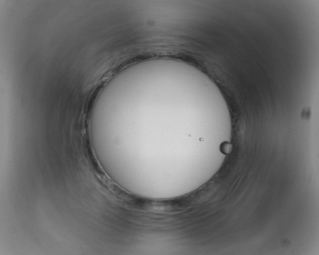 X0000112510746200908171048