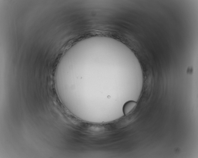 X0000112510749200908171048