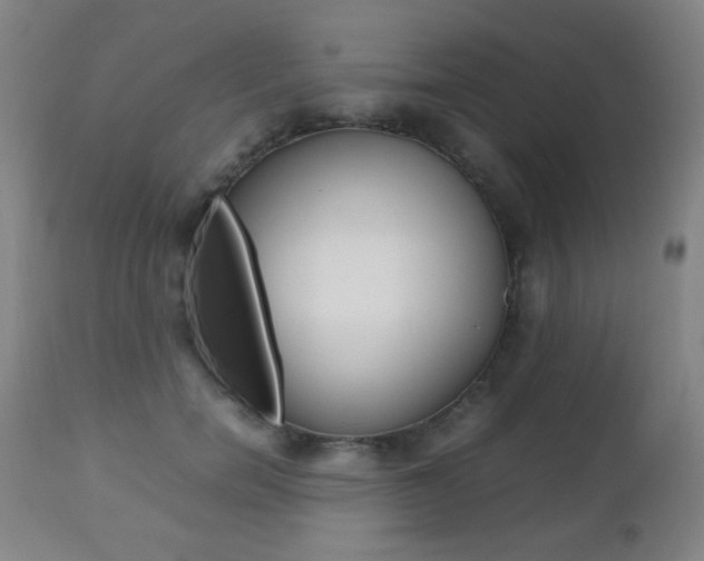 X0000112510750200908171048