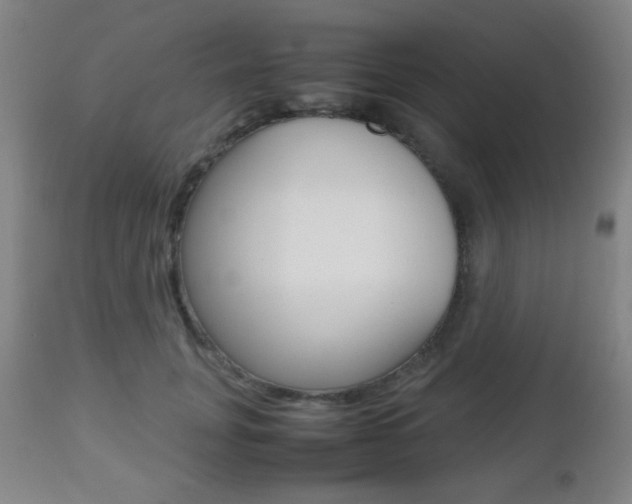 X0000112510751200908171048