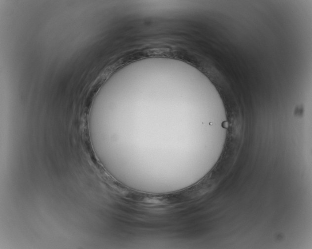 X0000112510753200908171048