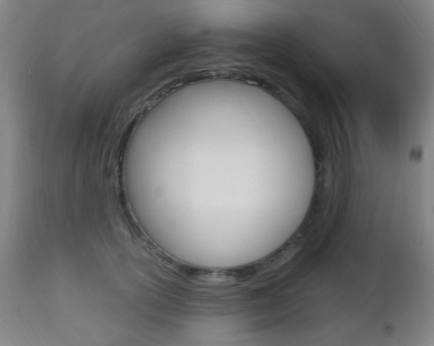 X0000112510754200908171048