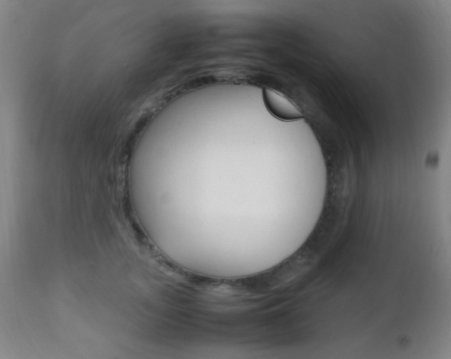 X0000112510755200908171048