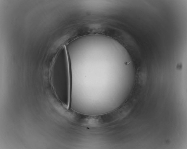 X0000112510756200908171048