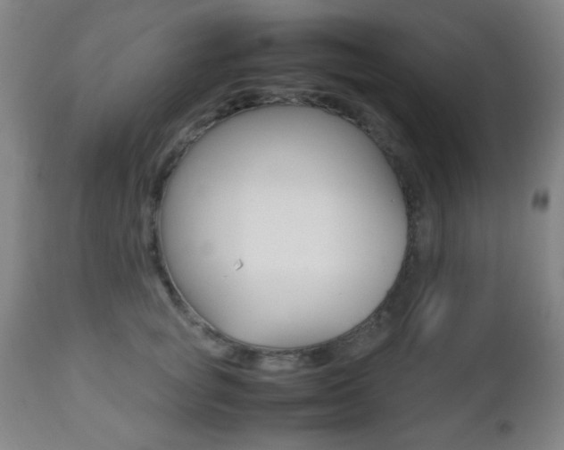 X0000112510757200908171048