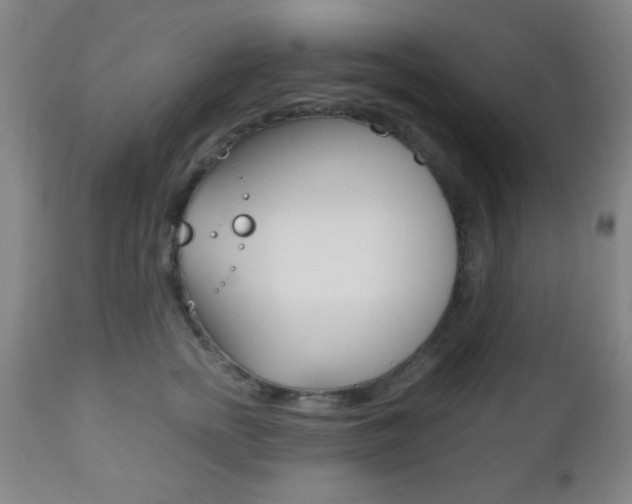X0000112510758200908171048