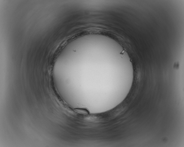 X0000112510759200908171048