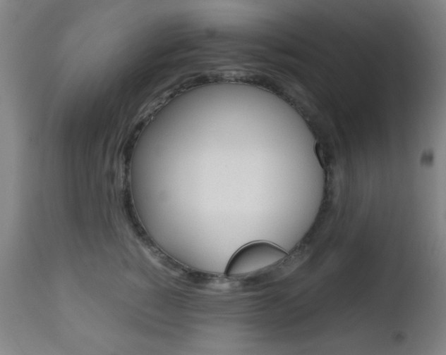 X0000112510760200908171048
