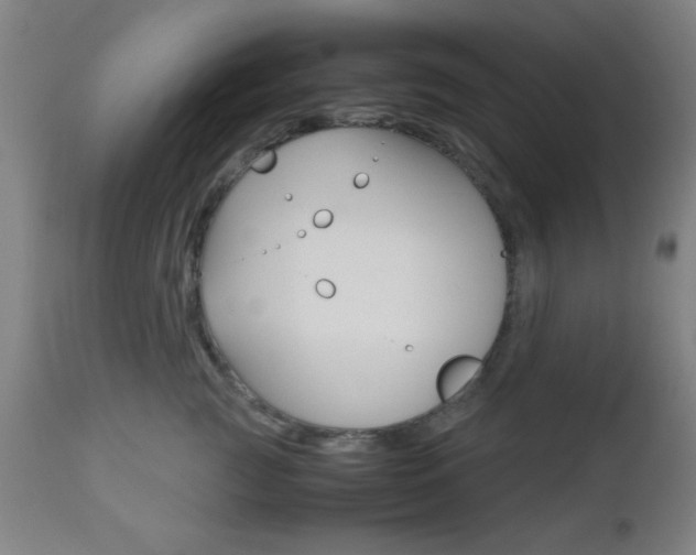 X0000112510761200908171048