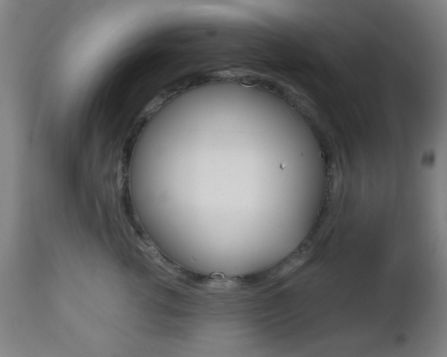 X0000112510762200908171048