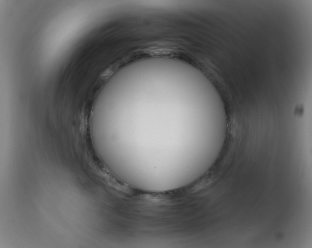 X0000112510763200908171048