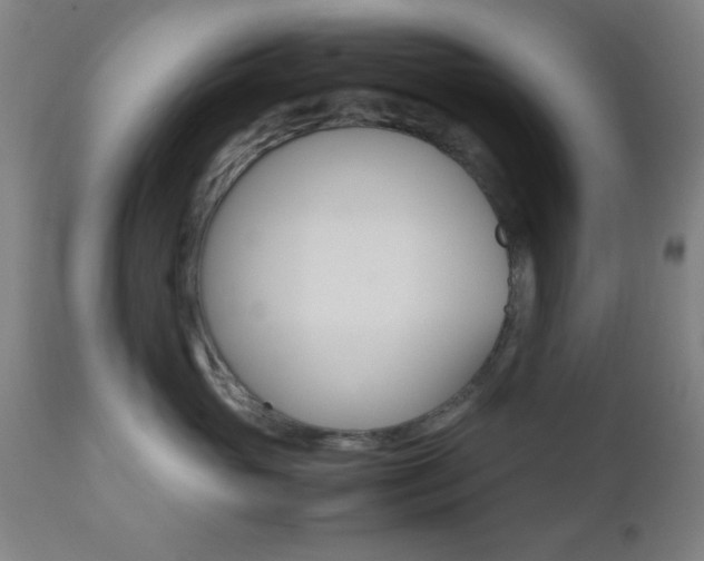 X0000112510765200908171048