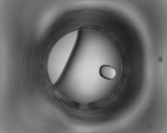 X0000112510766200908171048