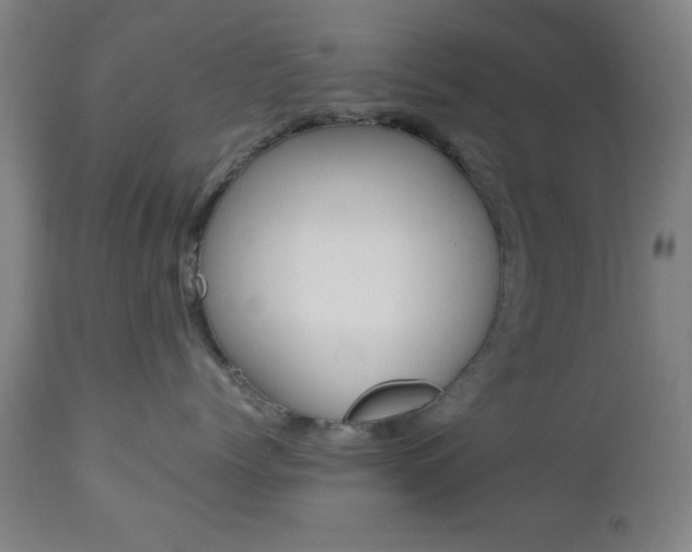X0000112510768200908171048
