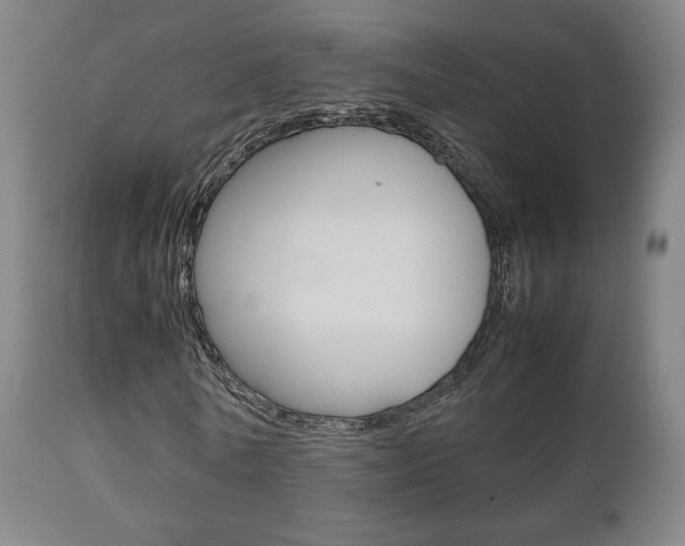X0000112510770200908171047